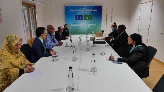 الرئيسان غالي و رامافوزا يتفقان على تقوية العلاقات الثنائية بين جنوب إفريقيا والصحراء الغربية
