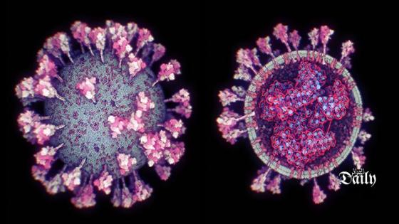 بالصورة والفيديو : العلماء يصدرون أحدث رسم توضيحي لفيروس كورونا