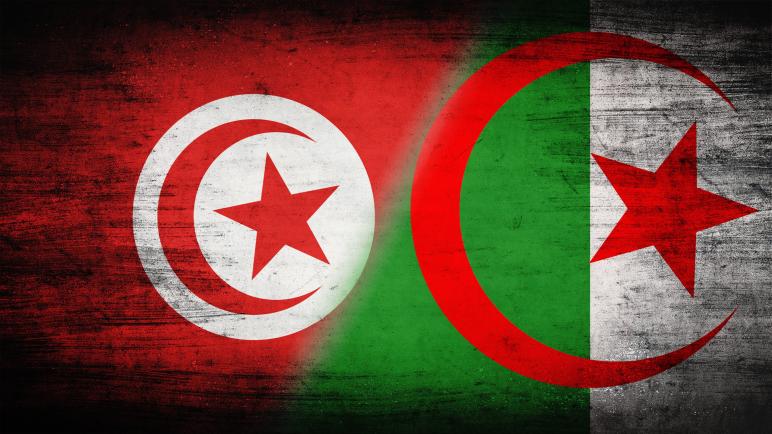الكشف عن قيمة القرض والهبة اللذين قدمتهما الجزائر إلى تونس