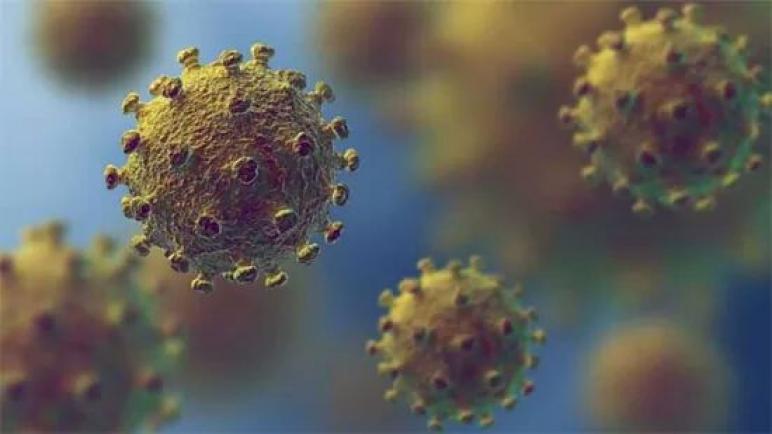 إيطاليا.. تطوير أول لقاح يوقف إنتشار الفيروس في الخلايا البشرية