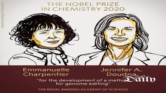 جائزة نوبل للكيمياء :فوز فرنسية وأمريكية لعملهما في تطوير “مقص” جيني 
