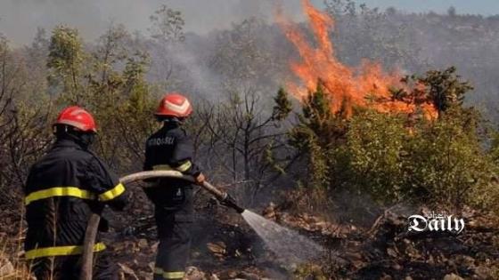 حرائق الغابات: وزارة الفلاحة تضع حصيلة للتعويضات