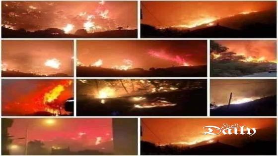 وزير الفلاحة: إخماد معظم الحرائق التي اندلعت الجمعة