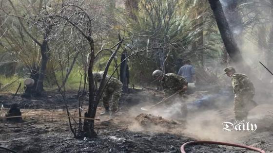 تدخل وحدات الجيش الوطني الشعبي لإخماذ حريق شب بغابات النخيل بجانت