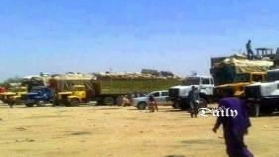 عودة تجارة المقايضة بولاية ايليزي مع دولتي النيجر و مالي