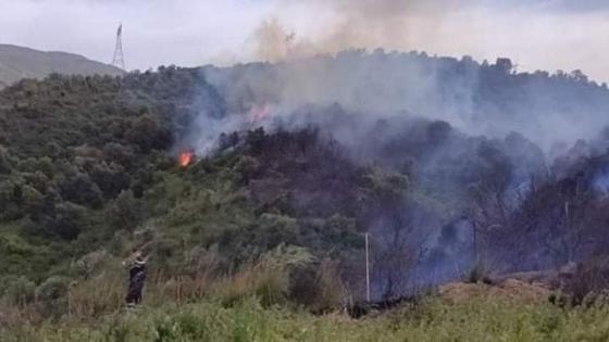 البليدة: الحماية المدنية تتمكن من إخماد حريق بمنطقة القلعة الواقعة ببلدية بوعرفة