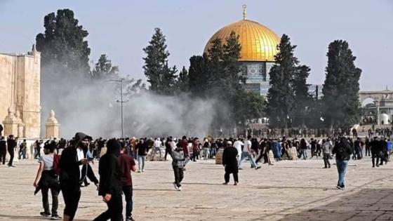 مجلس الأمة يدين الانتهاكات الوحشية للكيان الصهيوني ضد المدنيين الفلسطينيين في القدس المحتلة