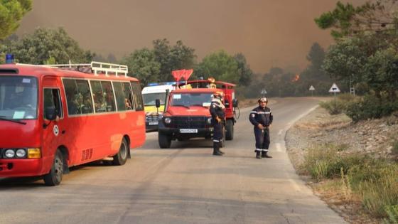 المديرية العامة للحماية المدنية ترسل أرتال من الولايات المجاورة بالإضافة لمروحيات من أجل إخماد حرائق غابات ولاية خنشلة.