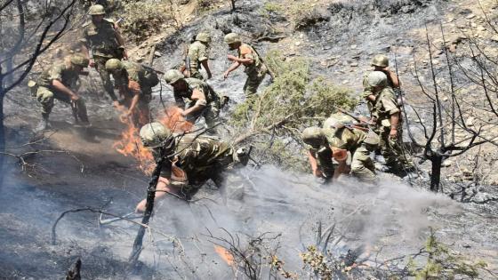 قوات الجيش الوطني الشعبي تواصل تدخلها لإخماد الحرائق في ولاية خنشلة