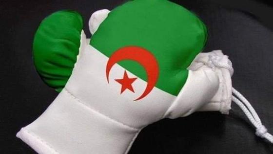 ملاكمة/أولمبياد طوكيو: الجزائريون يتعرفون على منافسيهم في الأدوار الأولى