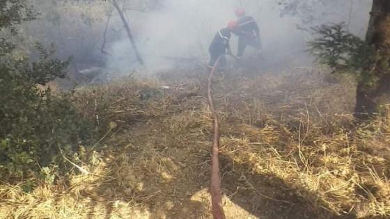 البليدة: الفرقة الجوية للحماية المدنية تشارك في إخماد حرائق الغابات بمرتفعات الشريعة