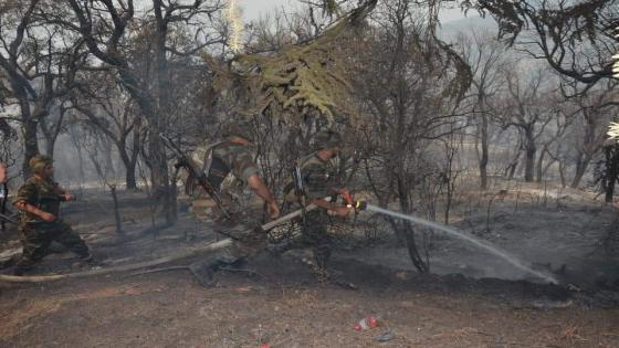 الجيش الوطني الشعبي يتدخل لإخماد النيران بالمناطق الغابية بالبليدة