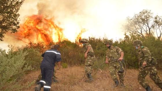 مفارز الجيش الوطني الشعبي تواصل عملية إخماد النيران بعدة مناطق من البلاد