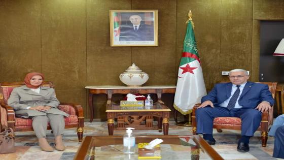 بوغالي يستعرض مع سفيرة تركيا واقع العلاقات والتعاون بين البلدين