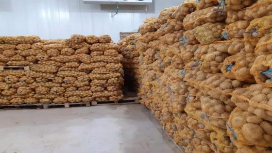 وزير الفلاحة: لجنة التحقيق المختلطة اكتشفت مخزونات كبيرة وغير شرعية لمادة البطاطا موجهة للمضاربة.