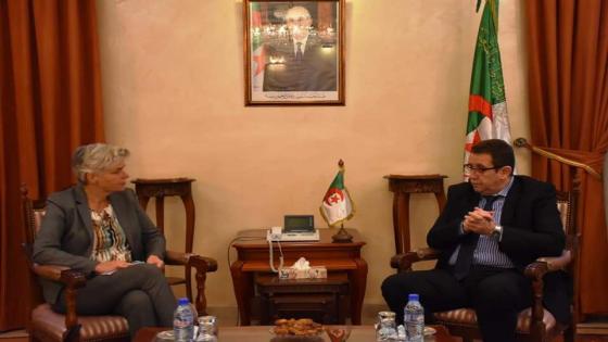 حمداني يبحث سبل تعزيز الشراكة والتعاون في القطاع الفلاحي مع سفيرة هولندا بالجزائر