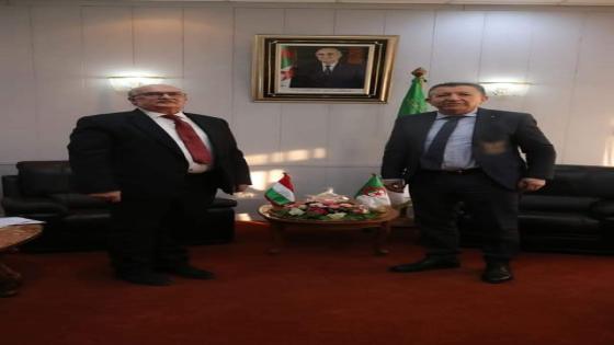 كريم حسني يتباحث مع سفير جمهورية المجر بالجزائر سبل التعاون الثنائي بين البلدين