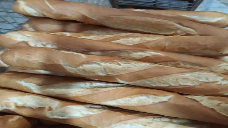 منظمة حماية المستهلك : تسعيرة الخبز العادي مقننة ولا يمكن للخبازين رفعها