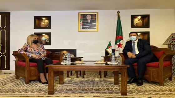 وزير السياحة يستقبل رئيسة الكنفدرالية العامة للمؤسسات الجزائرية