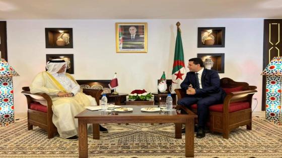 حمادي يبحث تعزيز التعاون والشراكة البينية في مجال السياحة مع السفير القطري