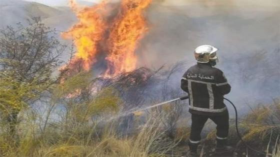 وزارة الفلاحة تدعو إلى رفع مستوى الجاهزية لمكافحة الحرائق