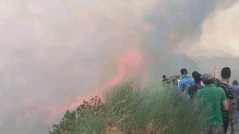 سطيف : الحرائق تتلف 5 هكتارات من الغابات ببلدية بني موحلي 