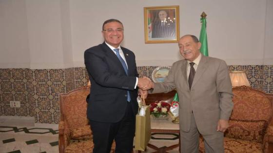 رئيس المحكمة الدستورية يبحث تعزيز التعاون في مجال القضاء الدستوري مع السفير المصري