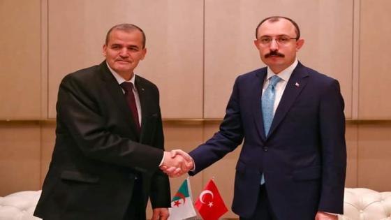 رزيق يبحث سبل تعزيز التعاون مع نظيره التركي باسطنبول