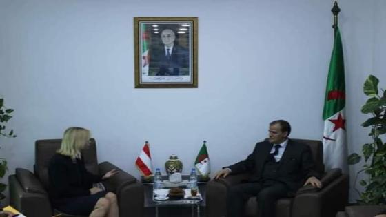 رزيق يبحث سبل تعزيز التعاون مع سفيرة النمسا بالجزائر