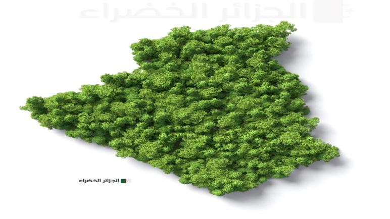مشروع الجزائر الخضراء: غرس مئات الآلاف من الأشجار عبر 58 ولاية