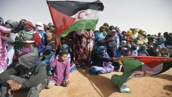 منظمة كوديسا تطالب بالضغط على المغرب للإفراج عن السجناء الصحراويين