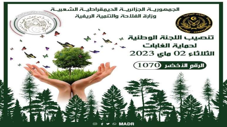 تنصيب اللجنة الوطنيّة لحماية الغابات