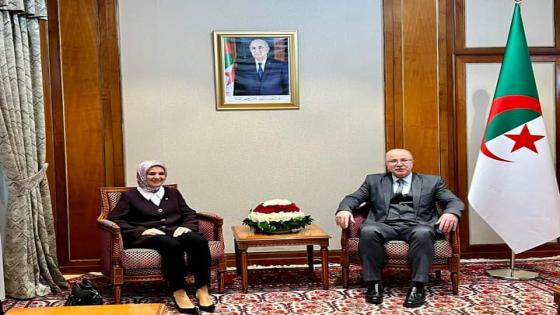 الوزير الأول أيمن بن عبد الرحمان يستقبل سفيرة تركيا على إثر انتهاء مهامها بالجزائر