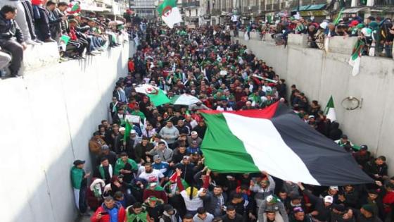 مسيرات حاشدة عبر كل الولايات نصرة لفلسطين