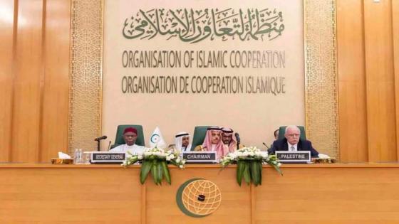 الجزائر تتحفظ على البيان الختامي لمنظمة التعاون الإسلامي حول فلسطين