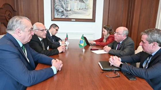 وزير الخارجية يلتقي نظيره البرازيلي بنيويورك