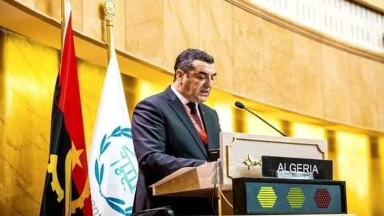 مجلس الأمة: الجزائر حققت “إنجازات كبيرة” في مجال تجسيد أهداف التنمية المستدامة
