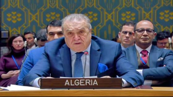 الأمم المتحدة: السفير عمار بن جامع يدعو إلى تعزيز دور الجمعية العامة