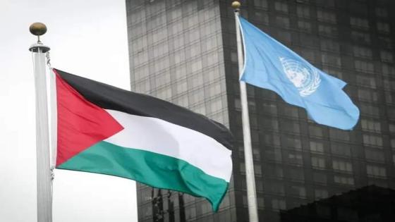 مجلس الأمن: اجتماع بشأن طلب عضوية دولة فلسطين في الأمم المتحدة