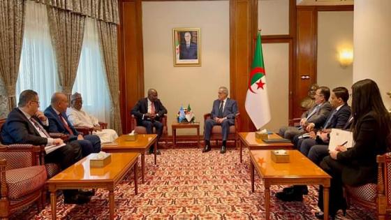 العرباوي يستقبل المدير العام لمنظمة العمل الدولية