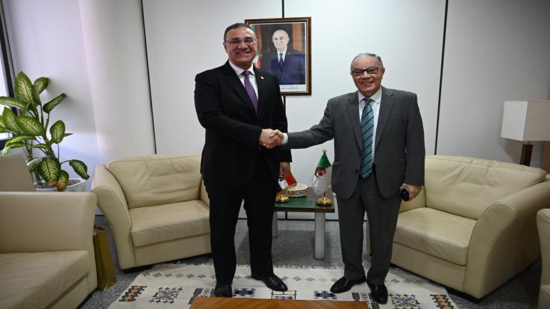 اتفاق جزائري – مصري على عقد دورة جديدة للجنة العليا المشتركة