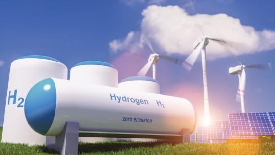 إهتمام هولندي بالتعاون مع الجزائر في مجال الهيدروجين الأخضر
