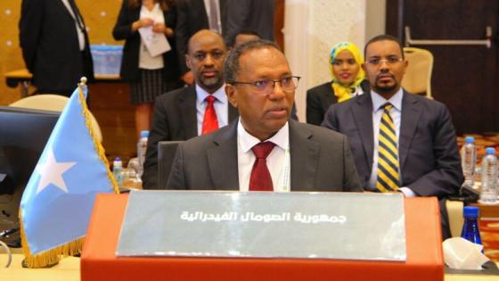 وزير المالية الصومالي يطالب الدول العربية باعفاء بلاده من الديون المتراكمة
