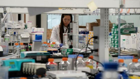 أمريكا: الصين متهمة بمحاولة قرصنة أبحاث حول فيروس كورونا