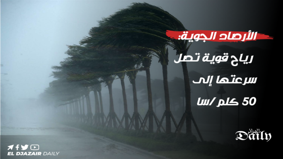 الأرصاد الجوية: رياح قوية تصل سرعتها إلى 50 كلم/سا