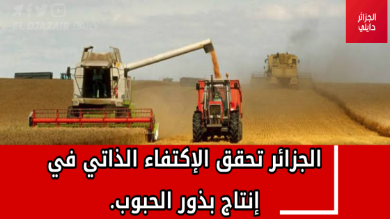 الجزائر تحقق الإكتفاء الذاتي في إنتاج بذور الحبوب.