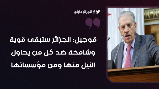 قوجيل: الجزائر ستبقى قوية وشامخة ضد كل من يحاول النيل منها ومن مؤسساتها