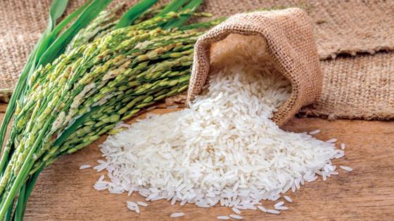 حجز أزيد من 505 طن “أرز” موجه للمضاربة