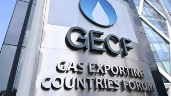 قمة منتدى الدول المصدرة للغاز بالجزائر: فرصة هامة للتنسيق و الحوار حول دور الغاز المتزايد في المزيج الطاقوي العالمي