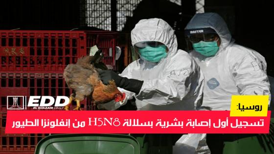 روسيا: تسجيل أول إصابة بشرية بسلالة H5N8 من إنفلونزا الطيور